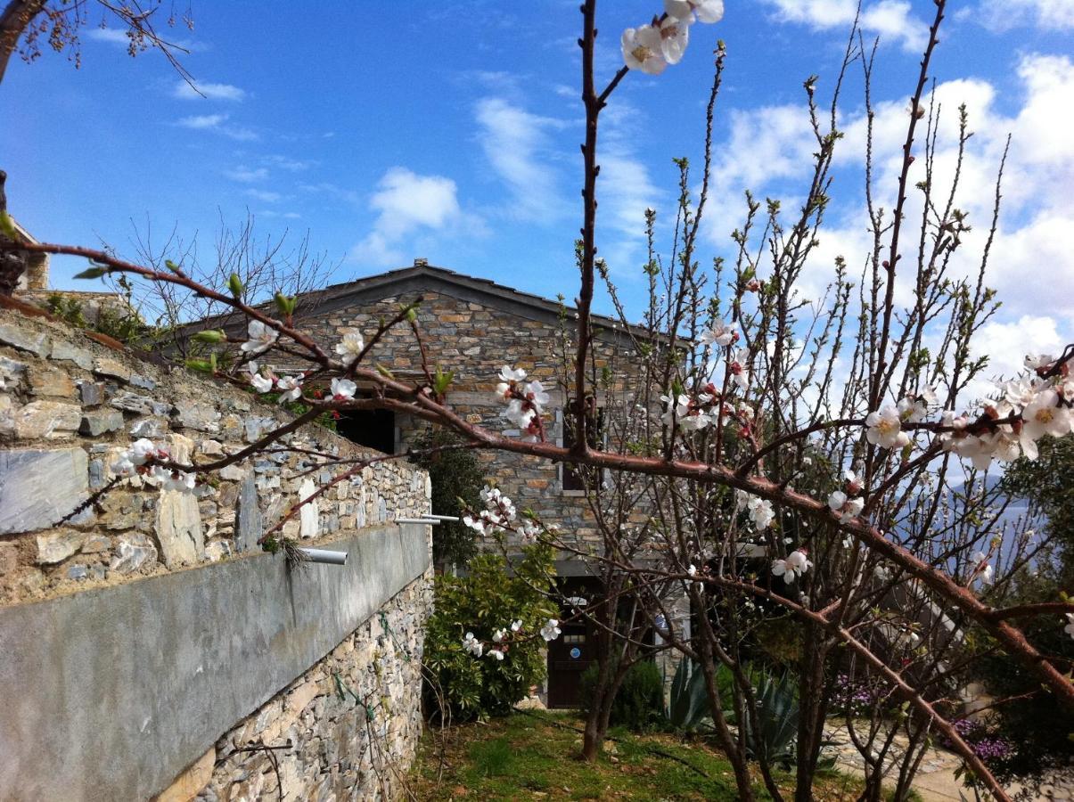 Pyrgos Traditional Village Agios Kirykos  Bagian luar foto