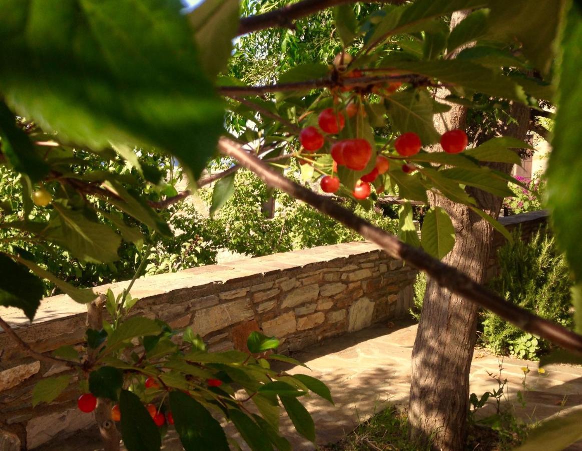 Pyrgos Traditional Village Agios Kirykos  Bagian luar foto
